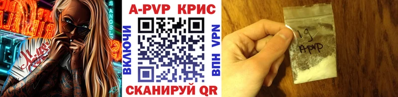 Alfa_PVP СК  Чайковский 