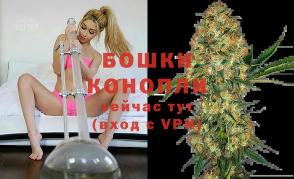 ГАЛЛЮЦИНОГЕННЫЕ ГРИБЫ Наволоки