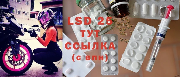 ГАЛЛЮЦИНОГЕННЫЕ ГРИБЫ Наволоки