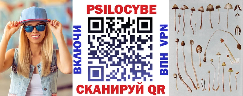 Галлюциногенные грибы Magic Shrooms  darknet клад  Чайковский 