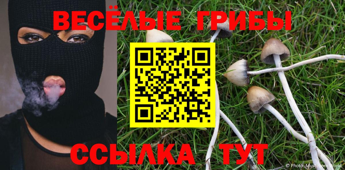 Чайковский  Псилоцибиновые грибы ЛСД  Галлюциногенные грибы прущие грибы  Вход с VPN 