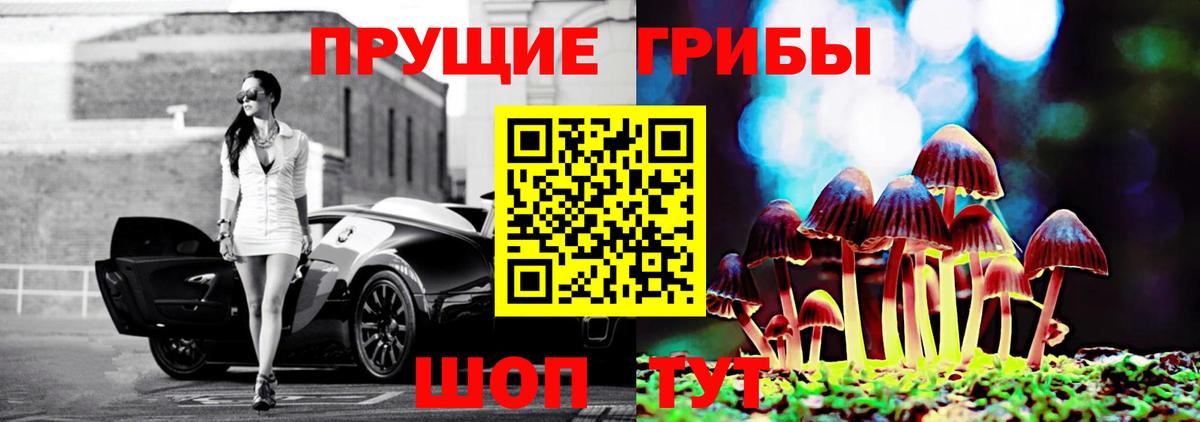 Галлюциногенные грибы ЛСД  Чайковский  Галлюциногенные грибы ЛСД 